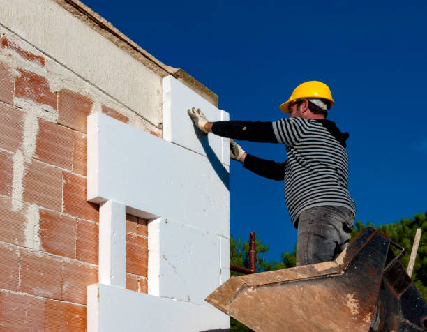 Best Geographic-Specific Insulation Services in Latimer, MS